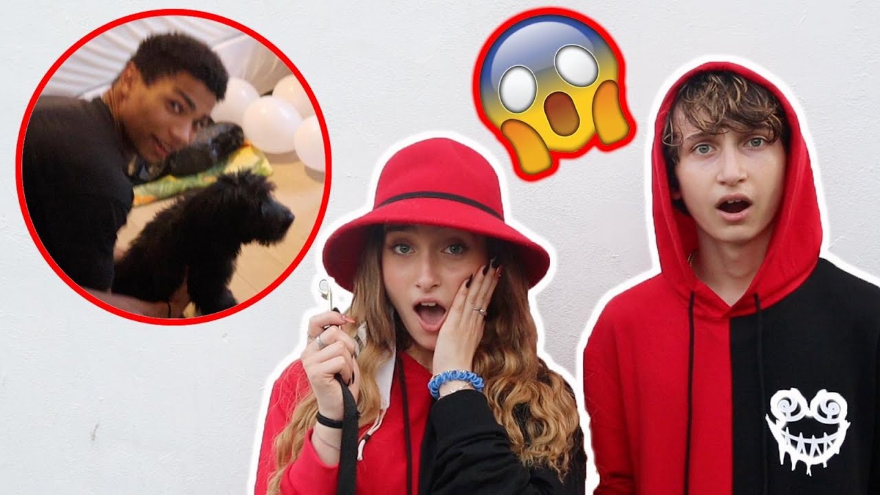 I STOLE YOUR PUPPY **PRANK WARS**