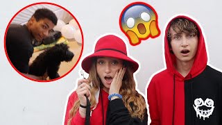 I Stole Your Puppy Prank Wars