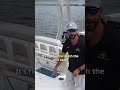 Why Boaters Love the Deluxe Leaning Post on the Boston Whaler 220 Dauntless