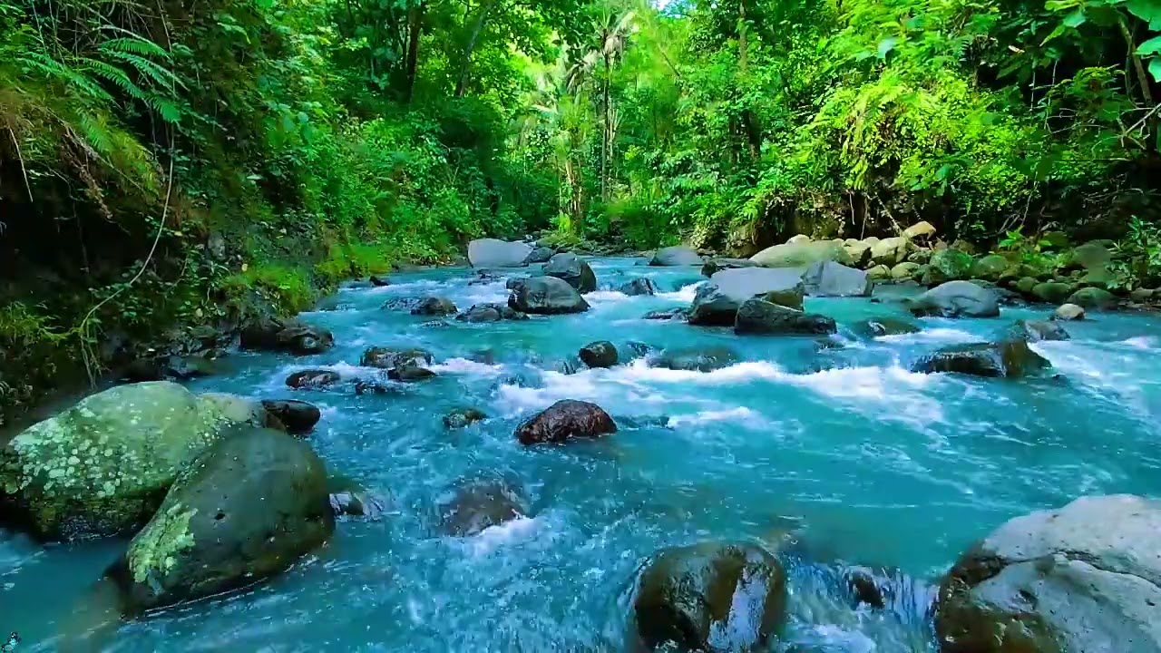 Peaceful Morning River Sounds 🌲💧 Calm Water Sounds for Relax