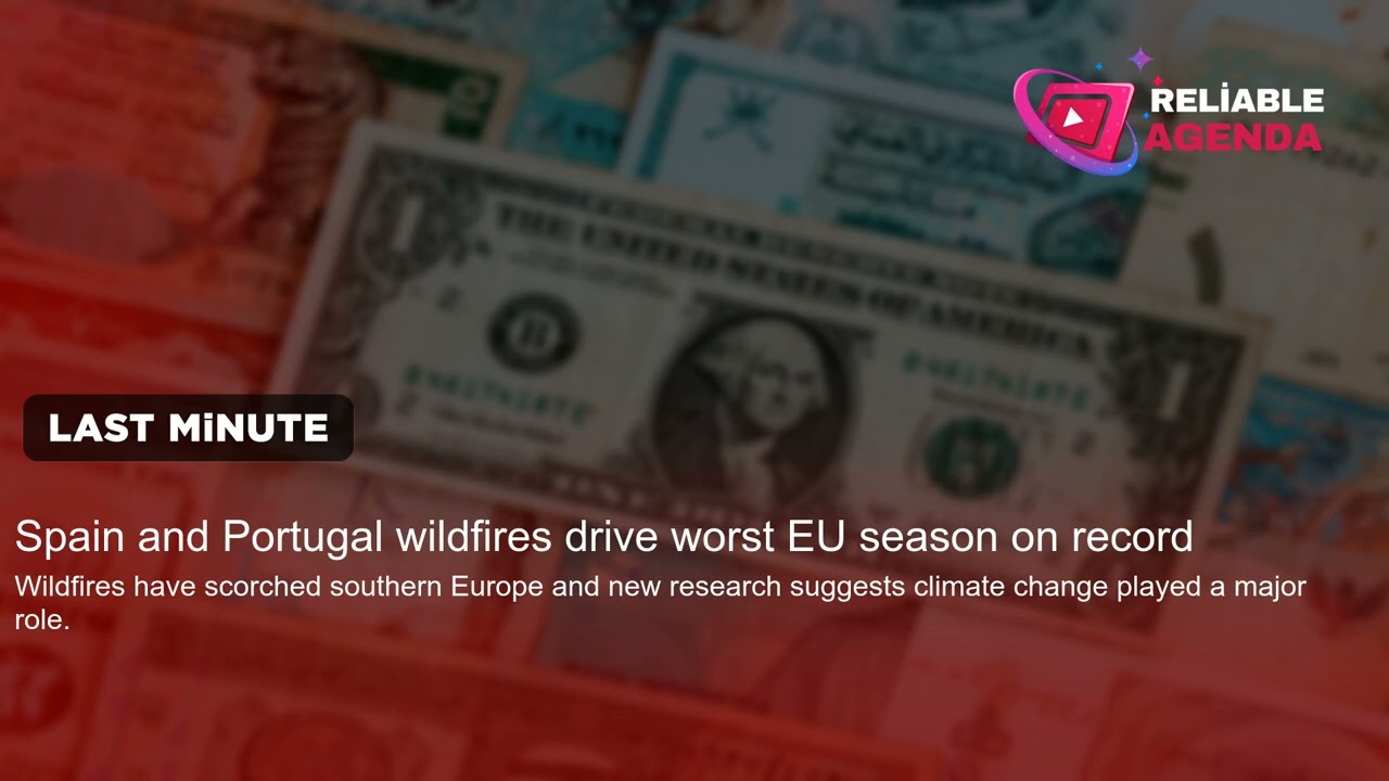 Spain and Portugal wildfires drive worst EU season on record