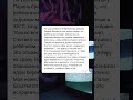 Беременная, брошенная… и я сказал: «Буду отцом» 💍 #беременнаяневеста #любовьнабеременную