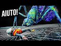Il Miglior Viaggio Sensoriale Per Stimolare E Rilassare I Tuoi Sensi