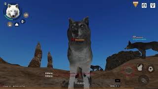 Wolf Online 2: Getting Honor #2