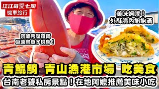 【江江哥愛七淘】機車旅行台南美食台南青鯤鯓青山漁港魚市 青鯤鯓古早味蚵嗲 古早味白糖粿 謙備伯冰店#台南小吃 Taiwan Street Food #環島 #機車環島 #台南景點