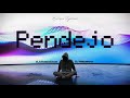 Enrique Iglesias - Pendejo (Dimen5ions & DJ Alejandro Bachata Remix)