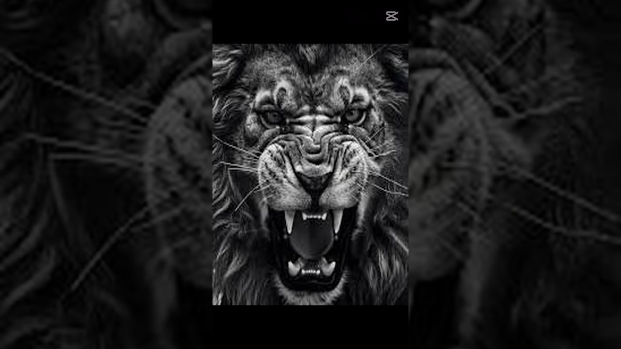 Angry Lion Face | King of the Jungle 🦁🔥 