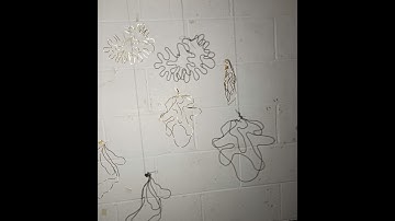 NCAD portfolio submission 2022 Isabelle Smith - Wire Projections