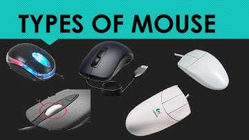 Some types of mouse.