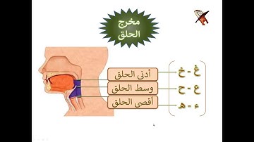 تعلم قراءة القرآن وقواعد التجويد - مخارج الحروف - مخرج الحلق