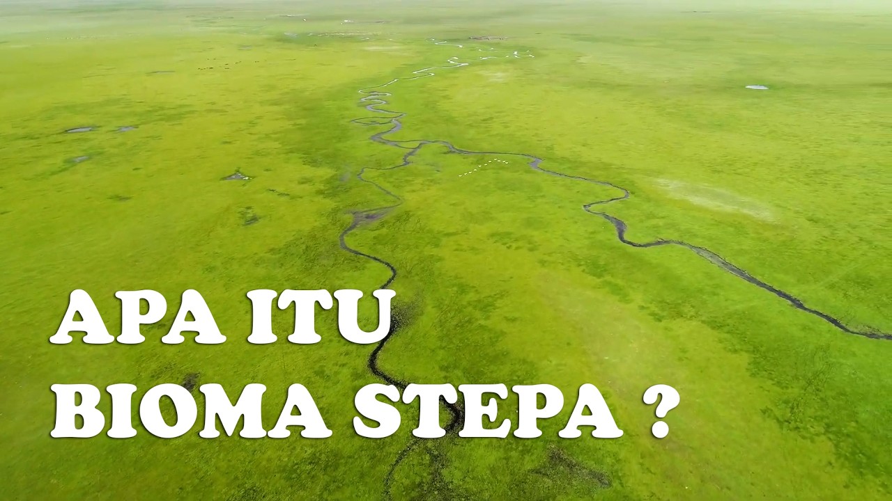 STEPA: Sabuk Padang Rumput Terbesar di Bumi