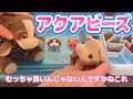 ぶたたんがはじめてアクアビーズ作りまてぃた！【ぴんくのぶたちゃんねる】