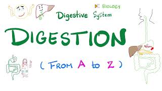 Digestion | Ultimate Review | From A to Z