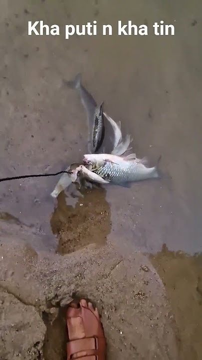 kha puti abd kha tin #Ffishing short