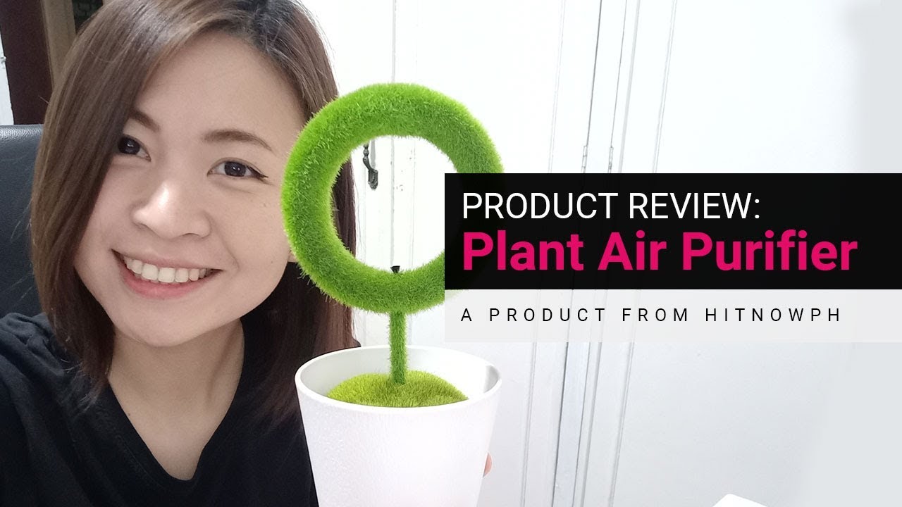 Cleans the air! Product Review Alert Plant Air Purifier YouTube
