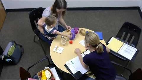 Bayley example: receptive language part 1