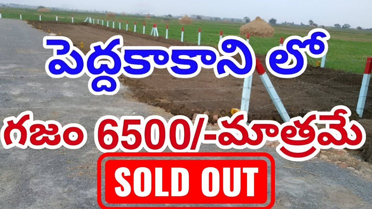 OPEN PLOTS FOR SALE PEDDAKAKANIGUNTUR YouTube