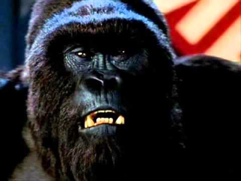 Mighty Joe Young Windsong Lyris