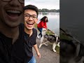 Anjing nya lapar  #aicreator #short #contentcreator