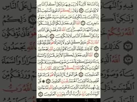 ماهر المعيقلي سورة غافر مكتوبة صفحة 474 مصحف المدينة المنورة جودة عالية