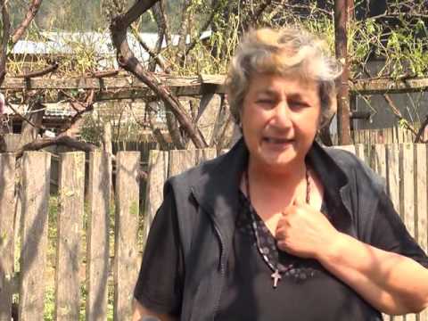 სეტყვამ სოფელი სადგერი მეორედ დააზარალა