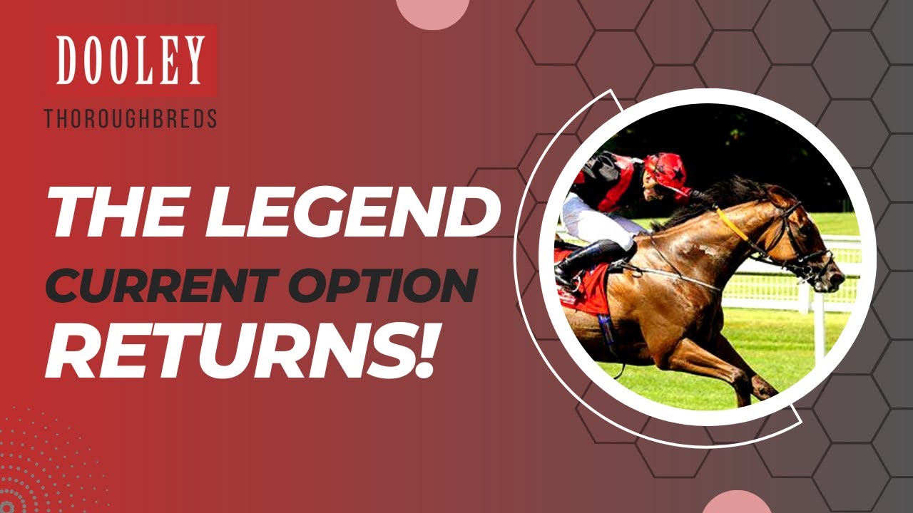 Current Option | The Legend Returns To Galway