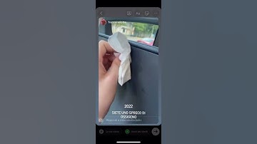 erases Nazi from bus
