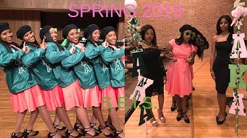 Lambda Iota Chapter of AKA Probate//Where Have I Been?