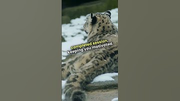 ⏱️ The Pomodoro Hack That Actually Works #Shorts, #PomodoroTechnique, #FocusHack, #StudyTips