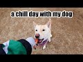 a chill day with my dog | Vlogmas Day 14