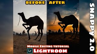 Lightroom Mobile Edit || How to Do Silhouettte Editing | Snapseed | English Tutorial screenshot 5