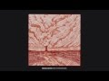 Rebel Kites - The Witnessing