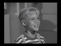 Dennis The Menace S01E06 Dennis Garden Dennis The Menace S01E06 Dennis Garden