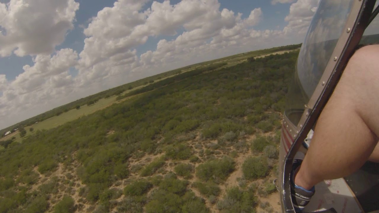 Helicopter Hog Hunt2, Uvalde, TX YouTube