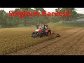 Sorghum Harvest!🔥🚜l Riverbend Springs Timelapse FS25 l Ep.134