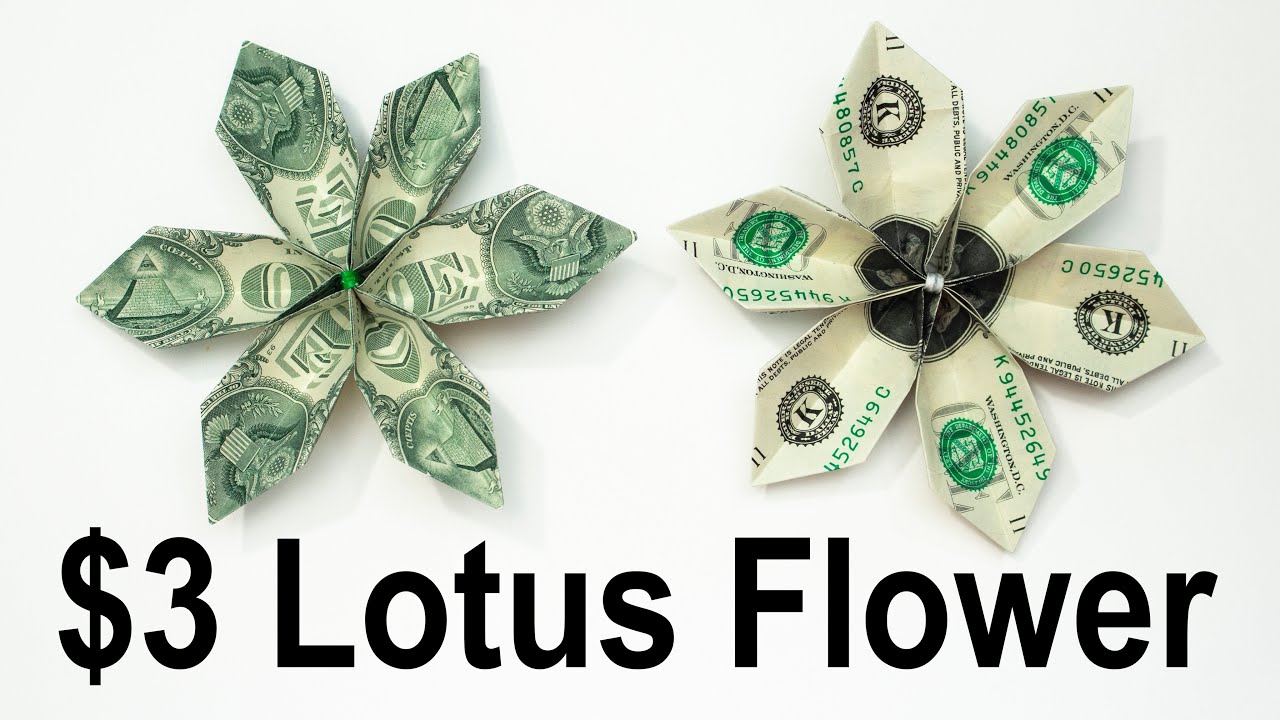 Money Origami Lotus Flower Instructions Best Flower Site