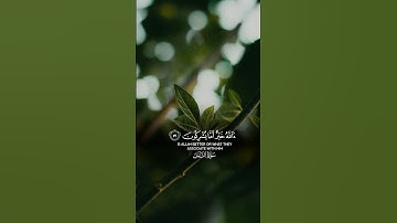 تلاوة خاشعة- ياسر الدوسري #قرآن #ياسر_الدوسري #راحة_نفسية #تلاوة_خاشعة #ارح_قلبك #اكسبلور #لايك #قلب
