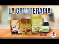 LA GANOTERAPIA - DR JÓSE LUIS SALCEDO SÁNCHEZ