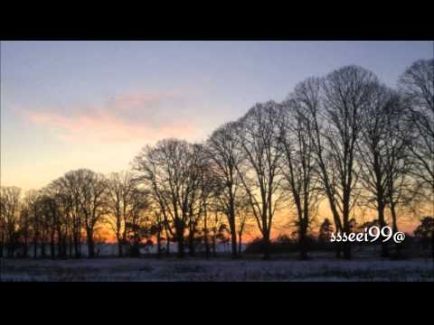 شيلة صوت الطواريق 