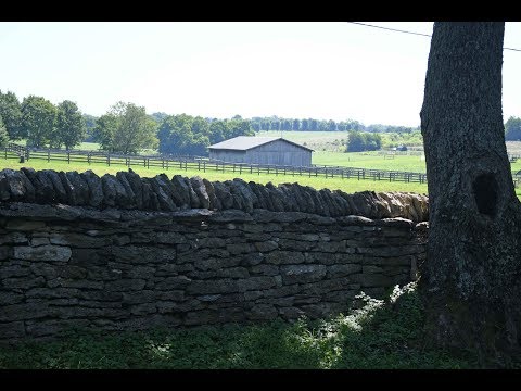 4331 Bethel Rd, Lexington, KY home video tour