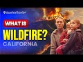 What Are Wildfires & How Can We Stop Them? | Wildfire Safety for Kids 🌳🚒 | International Schooling
