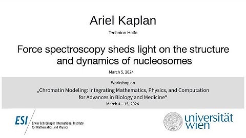 Ariel Kaplan - Force spectroscopy sheds light on the structure and dynamics of nucleosomes