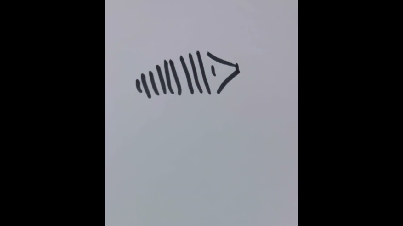 Draw a porcupine only using lines 🤓 