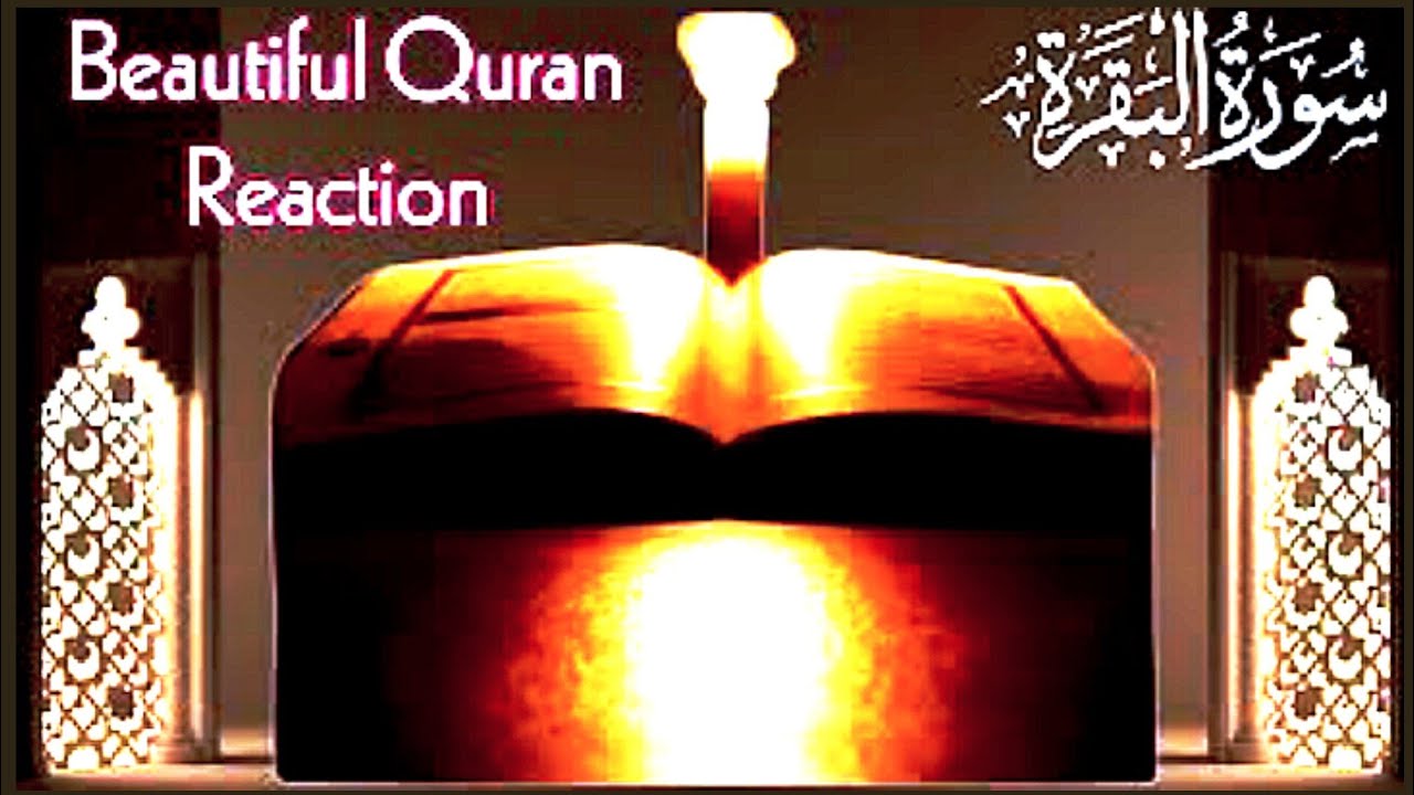 Surah Baqarah (Beautiful Recitation/Reading) By Sheikh Mishary Afasy With Arabic  سورة البقره Ep028