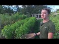 Beginning of video