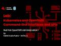 Episode 10 - Red Hat Academy Module Lab: Kubernetes and OpenShift Command-line Interfaces and APIs