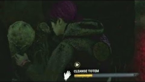 THE "CLEANSE EVERY TOTEM" SPEEDRUN