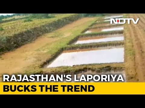 How One Rajasthan Village Still Has Water Even After A Long, Dry Summer