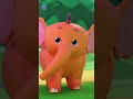 Ek Mota Hathi Jhoom Ke Chala, एक मोटा हाथी, Hindi Nursery Song #shorts #babyrhymes #hindicartoon