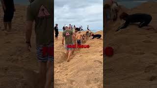 What is the MOST ILLEGAL thing that you can do on the beach ?